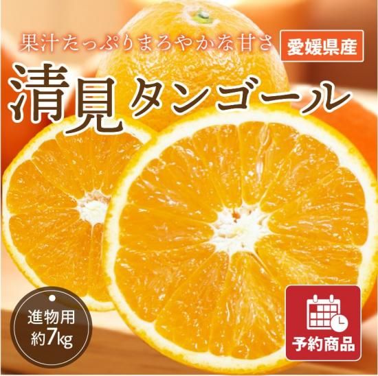 清見タンゴール【家庭用】約9kg 旬の甘くておいしいみかんをお取り寄せ