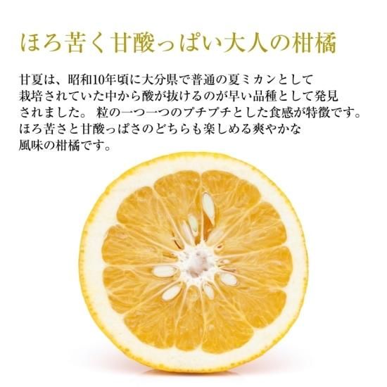 甘夏みかん(サンあまなつ)【家庭用】約4.5kg 旬の甘くておいしい
