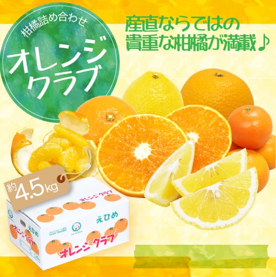 オレンジクラブ 柑橘4種詰め合わせ 4 5kg 旬の甘くておいしいみかんをお取り寄せ マルワフルーツ園芸