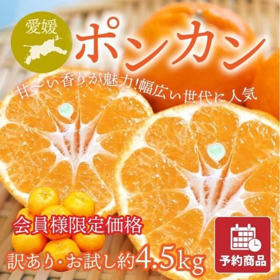 【予約商品】会員様限定価格 ポンカン【訳あり・お試し】約4.5kg