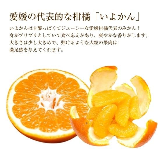 ͽʡ۲͸ 褫 ꡦ7kg
