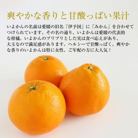 ͽʡ۲͸ 褫 ꡦ7kg