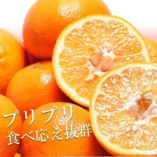 ͽʡ۲͸ 褫 ꡦ7kg