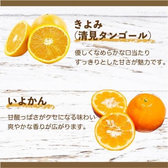 シトラスガーデン飲むゼリー 詰め合わせ いよかん きよみ ばん