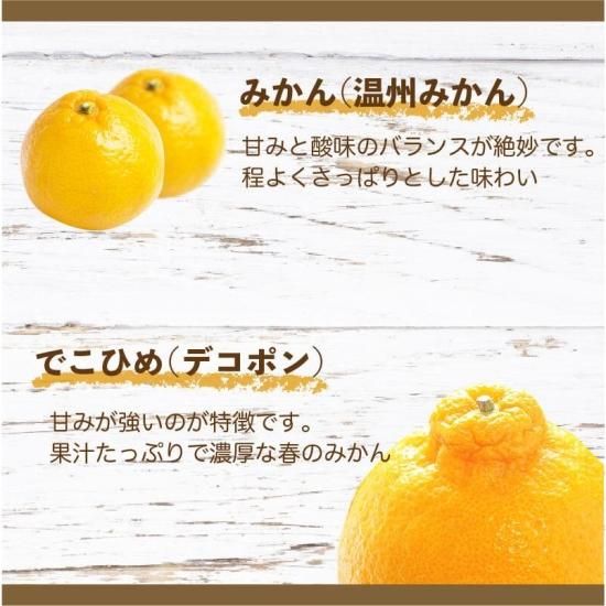 ȥ饹ǥॼ꡼ 18