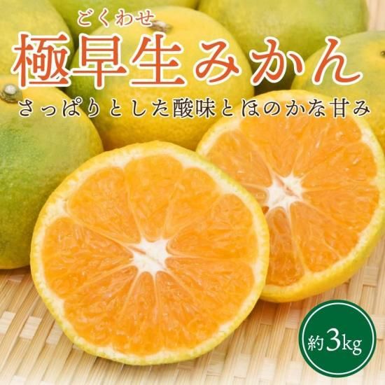 みかん。  たらみ どっさりみかんゼリー 230g (4955129022289) の仕入れ