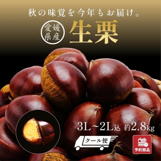 ͽʡ۲͸ (դ) 3L~2L 2.8kg ()