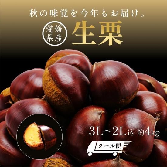 ͸ (դ) 3L~2L 4.5kg ()