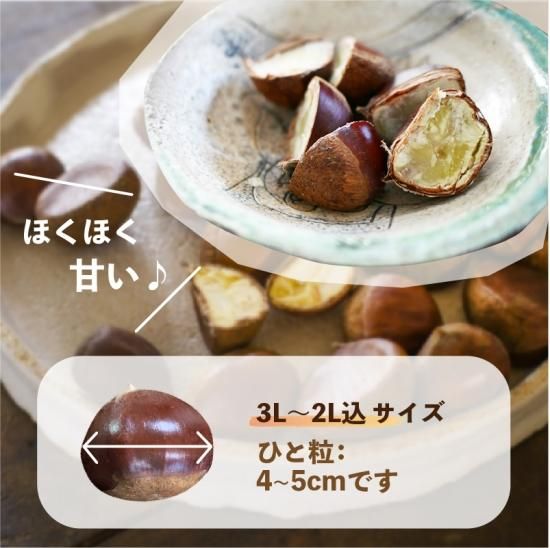 ししまる様　生栗　3キロ　クール便 クール便 愛媛の栗 生栗 秀品 3Lサイズ 3kg 送料無料