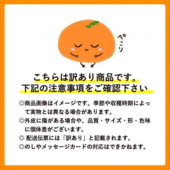 【予約商品】会員様限定価格 愛媛まどんな【訳あり・サイズ不揃い】約4.5kg