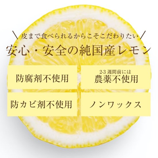 国産・訳あり】レモン 約3kg 旬のみずみずしいレモンを愛媛からお