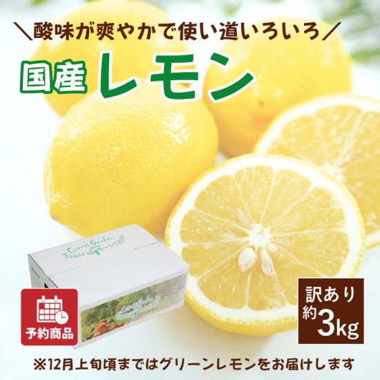 訳あり！熊本県産グリーンレモン30キロ未満！送料無料！匿名配送！熊本県産