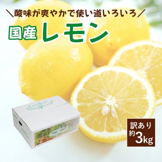 国産レモン【訳あり】 3kg