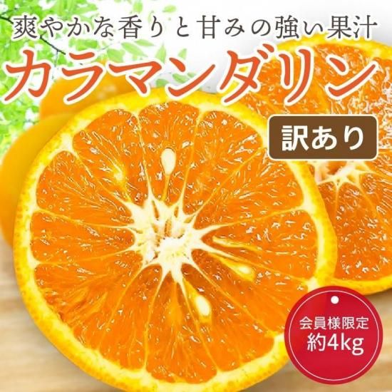 【セール 登場から人気沸騰】 商品検索 - マルワフルーツ園芸 果物