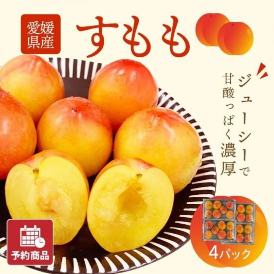 ͽʡ۰ɲ  4ѥå(1ѥå6〜10)ʥ