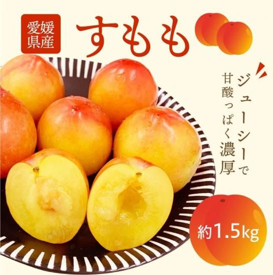 ɲ  4ѥå(1ѥå6〜10)ʥ