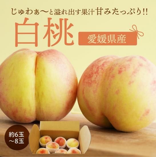 ڿ̸۰ɲ ʥĥ 〜(1.4kg) ʥ