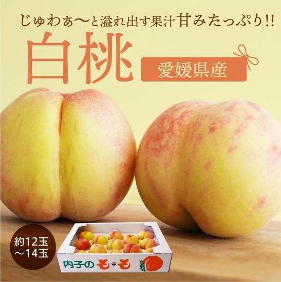ڿ̸۰ɲ ʥĥ 12〜14(2.5kg2.8kg) ʥ