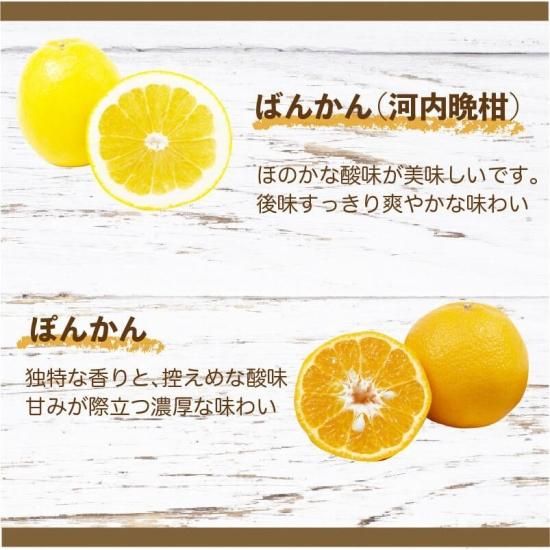 ȥ饹ǥॼ꡼ 36