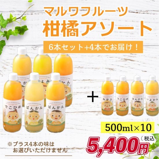 マルワフルーツ柑橘アソート10本セット