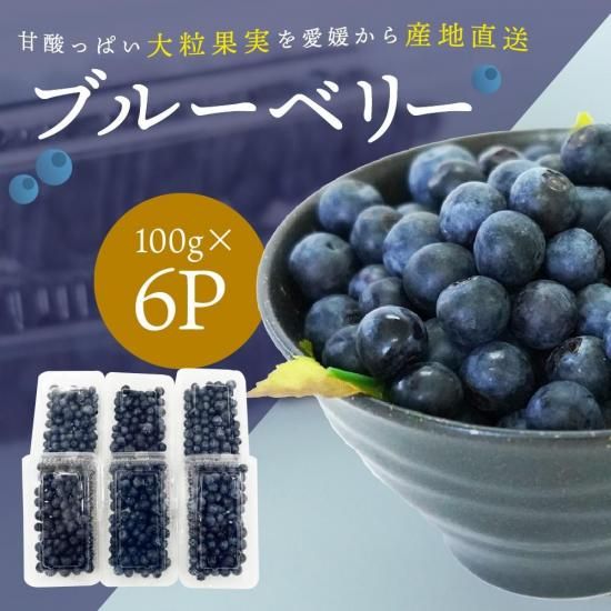 【予約商品】愛媛県産 ブルーベリー 約100g×６パック(チルド運賃込み)