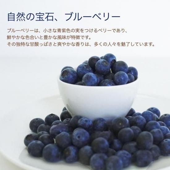 【予約商品】愛媛県産 ブルーベリー 約100g×６パック(チルド運賃込み)
