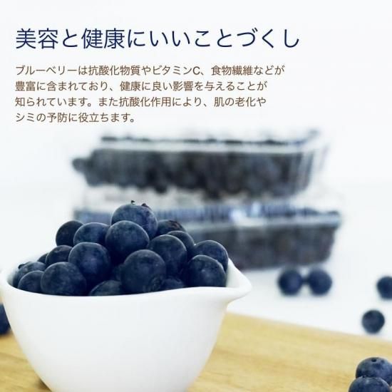 【予約商品】愛媛県産 ブルーベリー 約100g×６パック(チルド運賃込み)