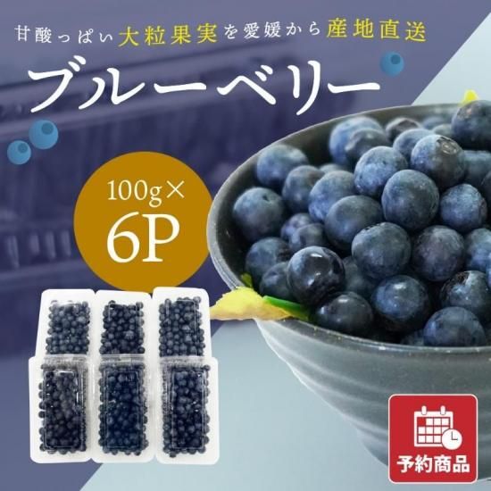 ͽʡ۰ɲ ֥롼٥꡼ 100gߣѥå(ɱ¹)