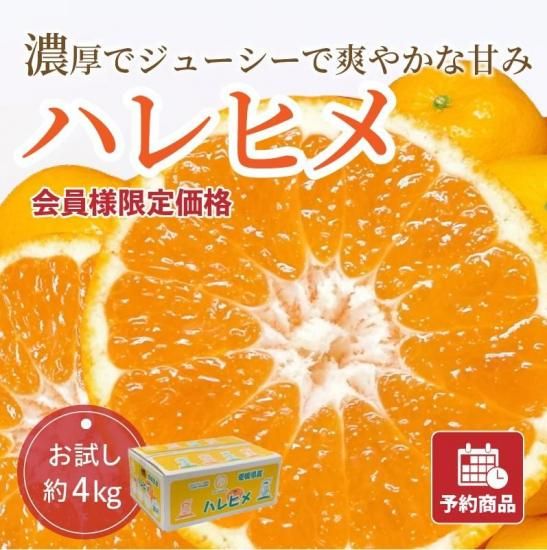 ͽʡ۲͸ ϥҥڤ4kg 