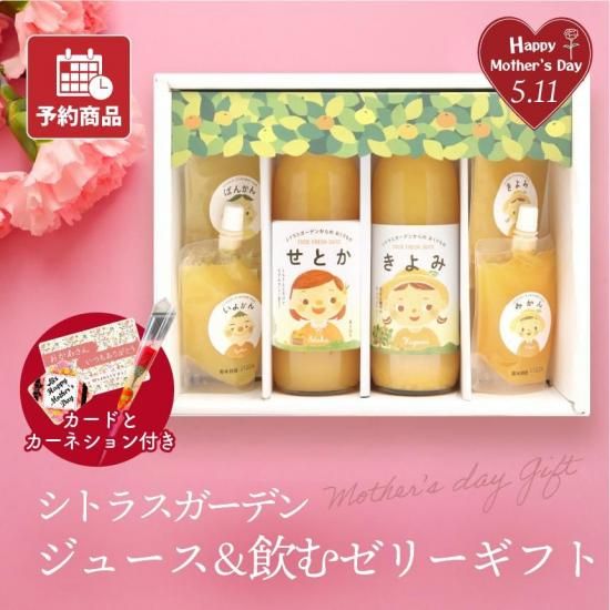 ͽʡۡեȡۥȥ饹ǥ󥸥塼ॼ꡼å