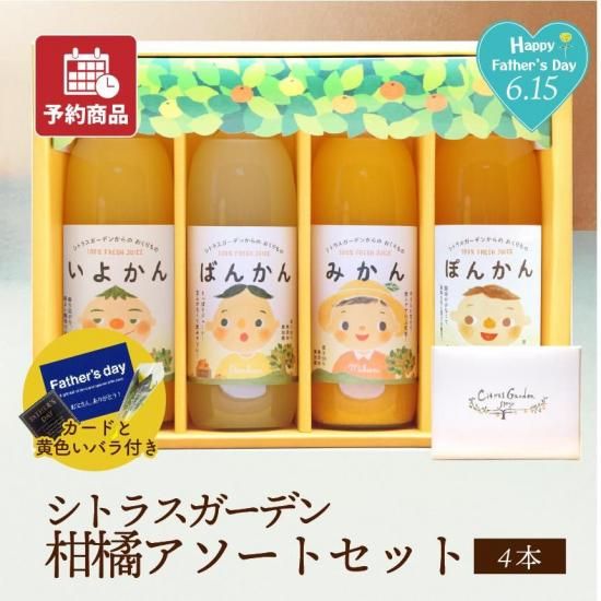 ͽʡۡեȡۥȥ饹ǥ4ܥåȡ500ml4 