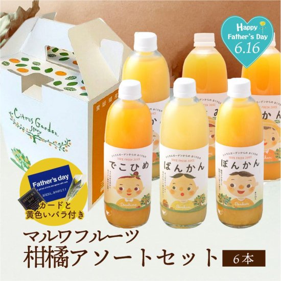 温州みかんジュース ストレート果汁 500ml シトラスガーデンからの