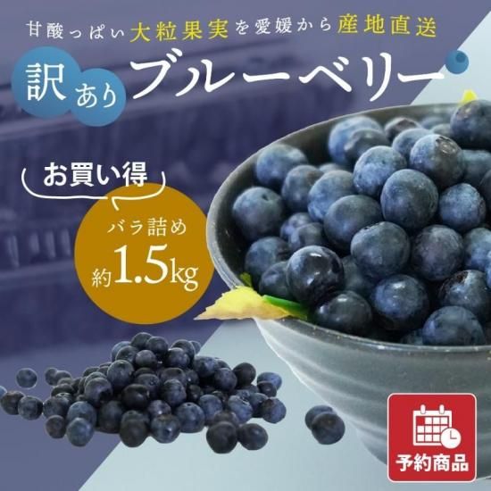 ͽʡ۰ɲ ֥롼٥꡼  Хͤ 1.5kg(ɽв)
