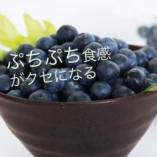 ͽʡ۰ɲ ֥롼٥꡼  Хͤ 1.5kg(ɽв)