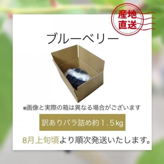ͽʡ۰ɲ ֥롼٥꡼  Хͤ 1.5kg(ɽв)
