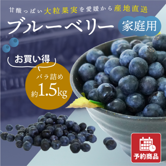 ͽʡ۰ɲ ֥롼٥꡼  Хͤ 1.5kg(ɽв)