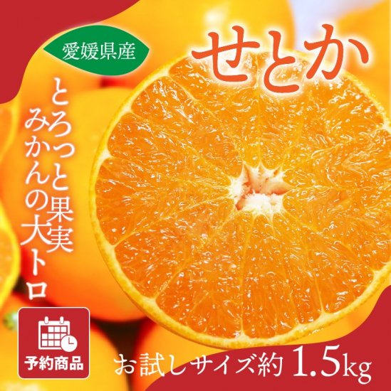 せとか(セトカ)【家庭用】約9kg 旬の甘くておいしいみかんをお取り寄せ