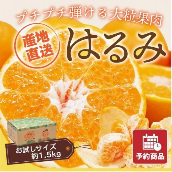 ͽʡۤϤߡڤ1.5kg 50