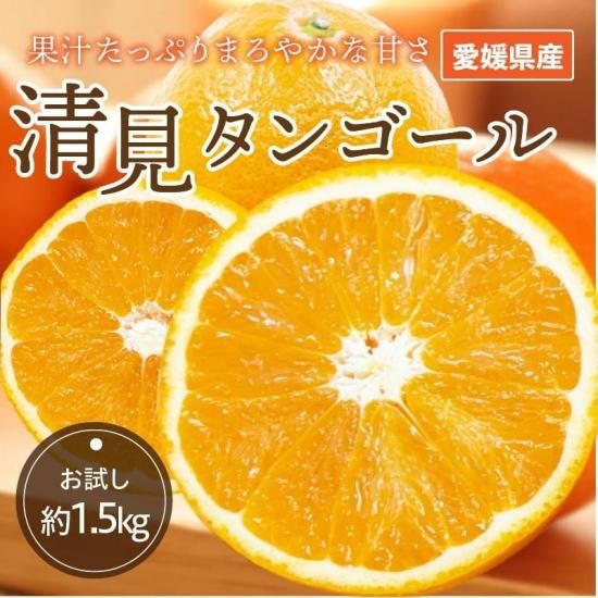 󥴡ڤ1.5kg