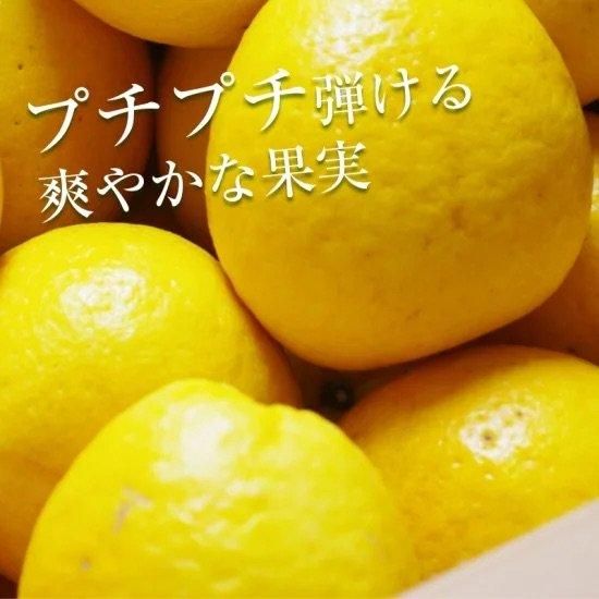 塼ɡʲմˡڤ2.5kg