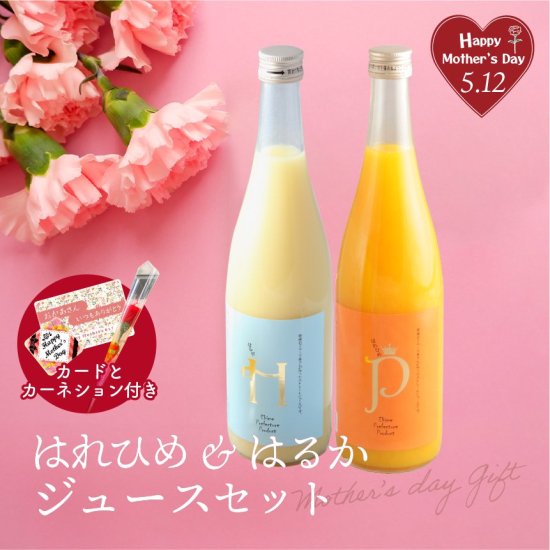 温州みかんジュース ストレート果汁 500ml シトラスガーデンからの