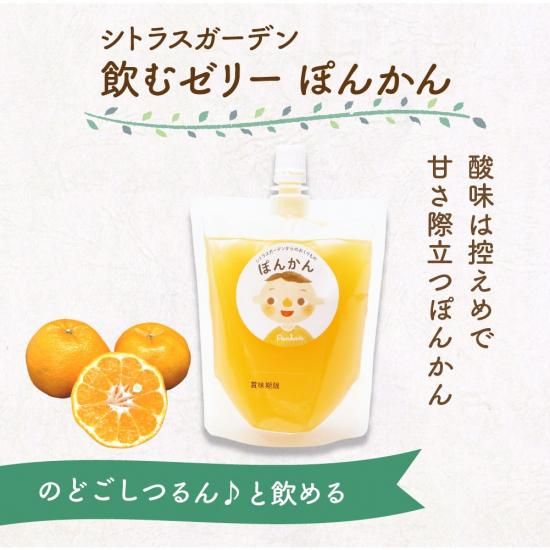 シトラスガーデン飲むゼリー でこひめ 150g - マルワフルーツ園芸