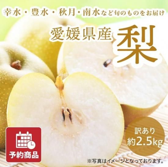 ͽʡ  2.5kg 5~9 