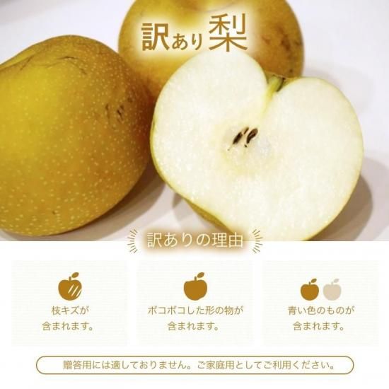 ͽʡ 1.5kg 3~6  