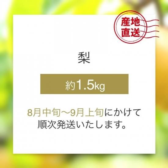 ͽʡ 1.5kg 3~6  