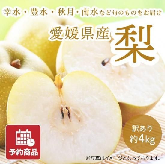 ͽʡ  4kg 10~18 