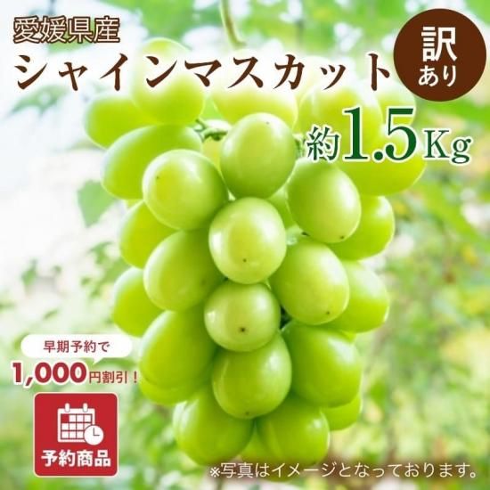 ͽʡۡ1000߰ϸû֤ɤ 㥤ޥå  1.5kg ʥ