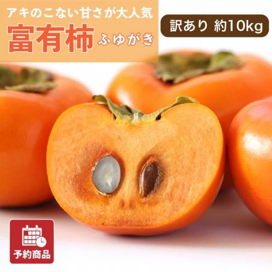 ͽʡͭ10kg 3850