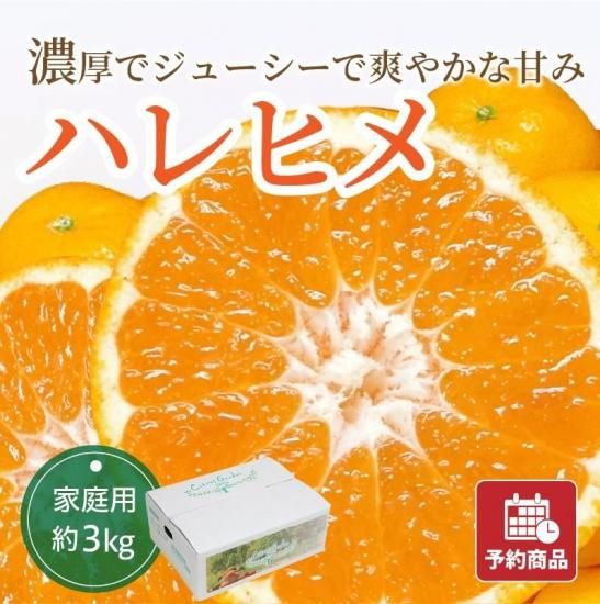 ͽʡۥϥҥڲѡ3kg 