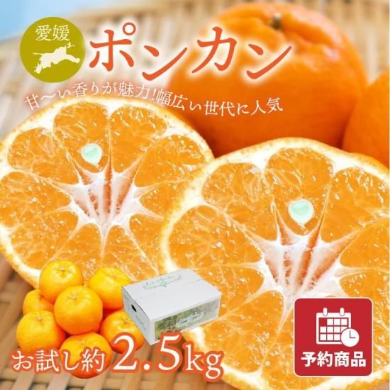 【予約商品】ポンカン【お試し】約2.5kg